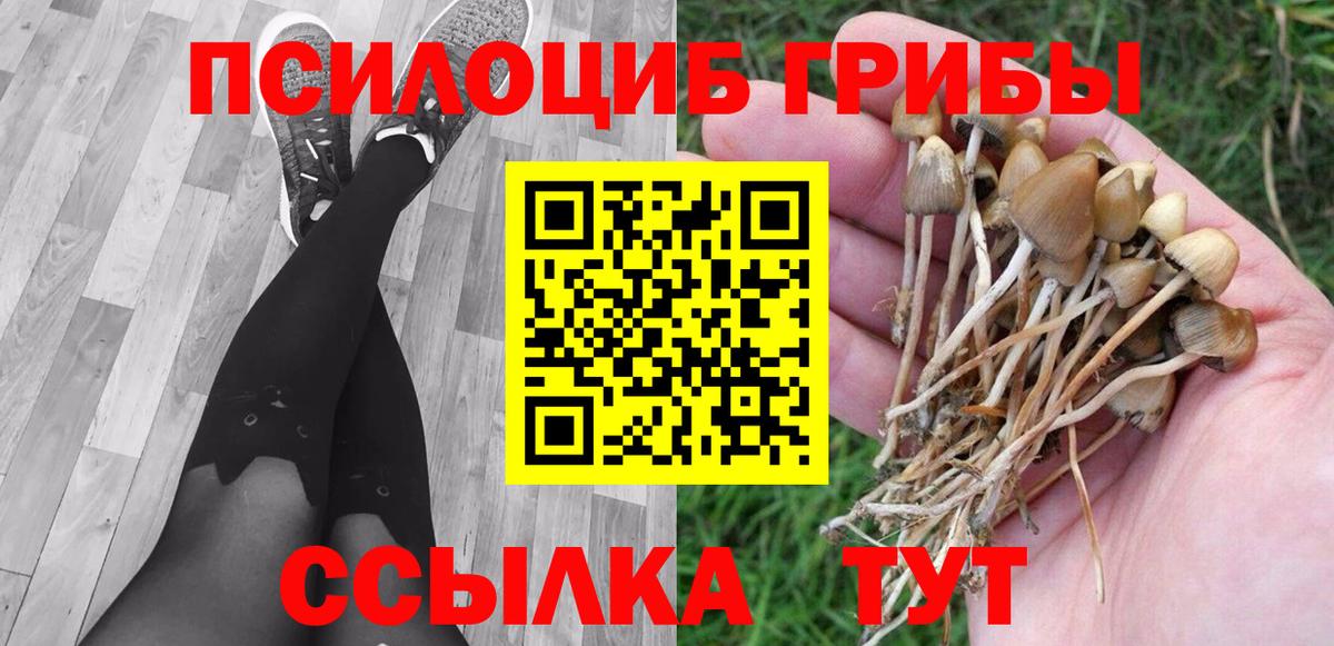Галлюциногенные грибы мицелий Ярославль